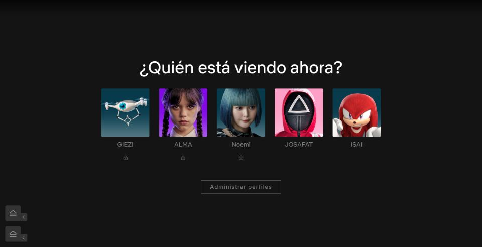 Netflix Account Lifetime